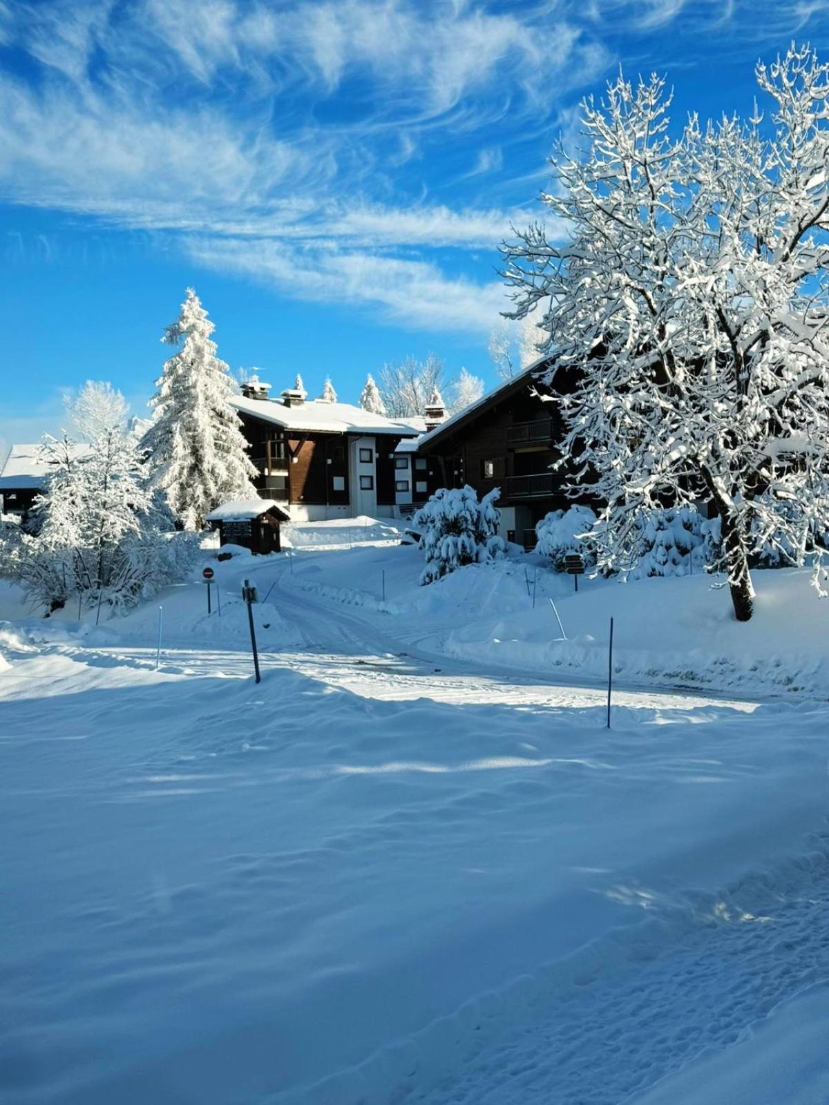 Le Flocon Du Mont Darbois Classe 3 Etoiles Megève Eksteriør bilde